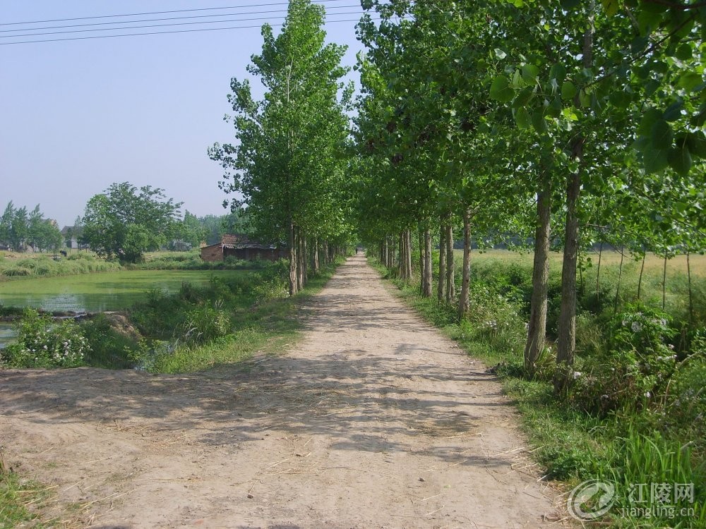 S6000239.jpg