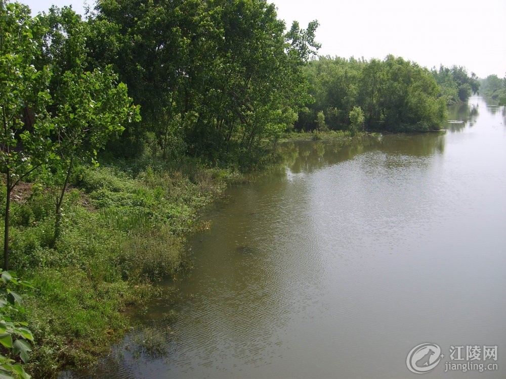 S6000255.jpg