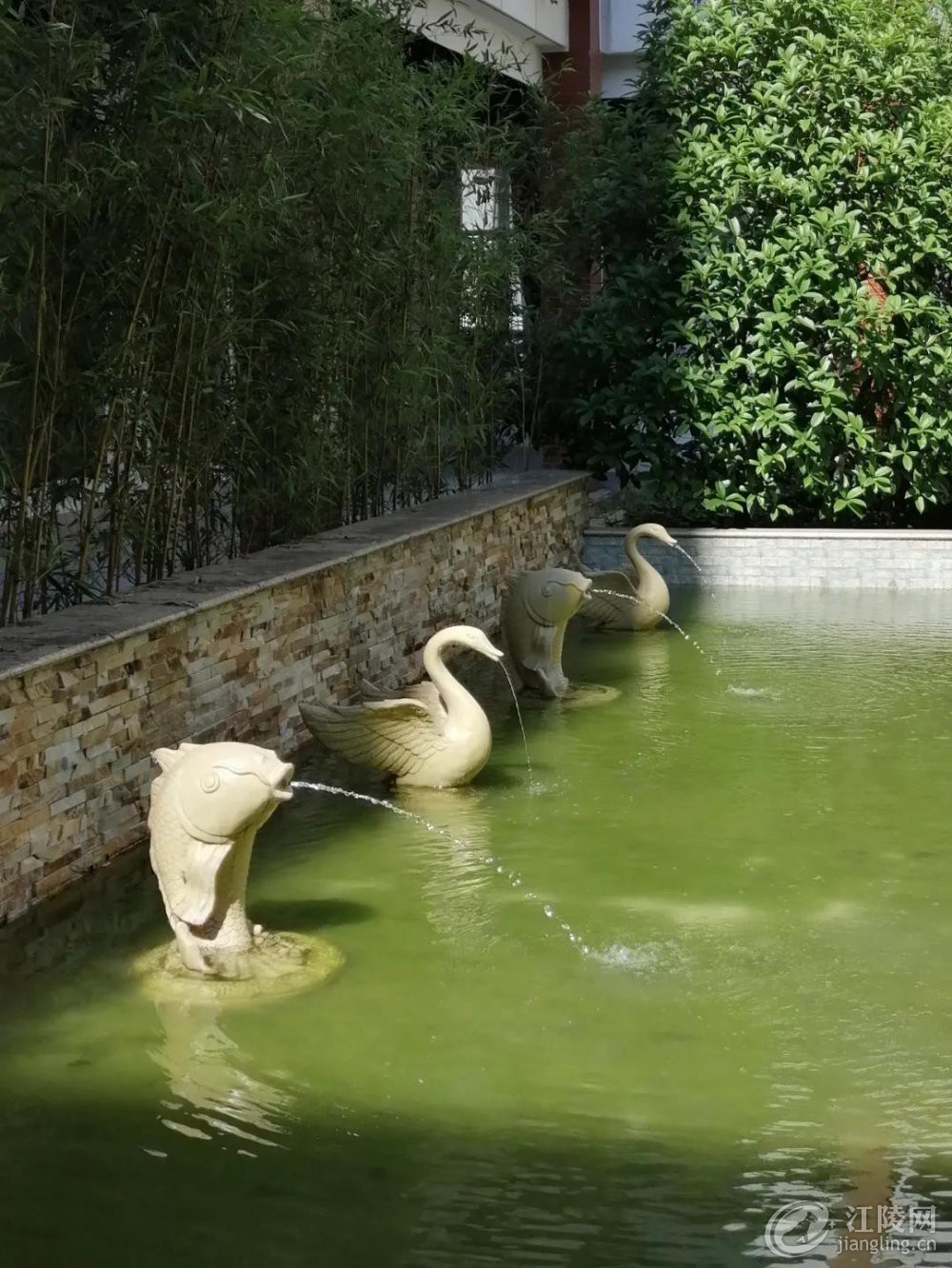 ΢ňDƬ_20201117094921.jpg