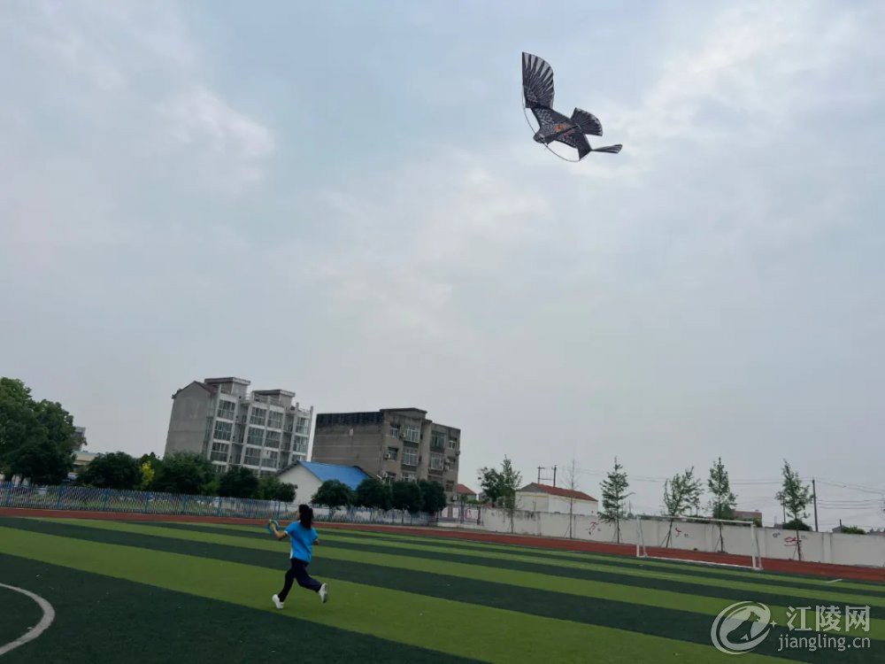 640.webp (13).jpg