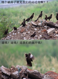 ˸粻M߀w|(zh)r(qing)Ҫ_l(f)XX