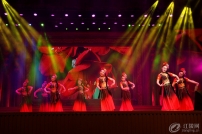 G2015܊ӭ(lin)g(hu)֮赸ʲô@Ӽt