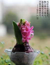 Ll(sh)źϴ_mo÷߃紺Ȼ_2015.1.15